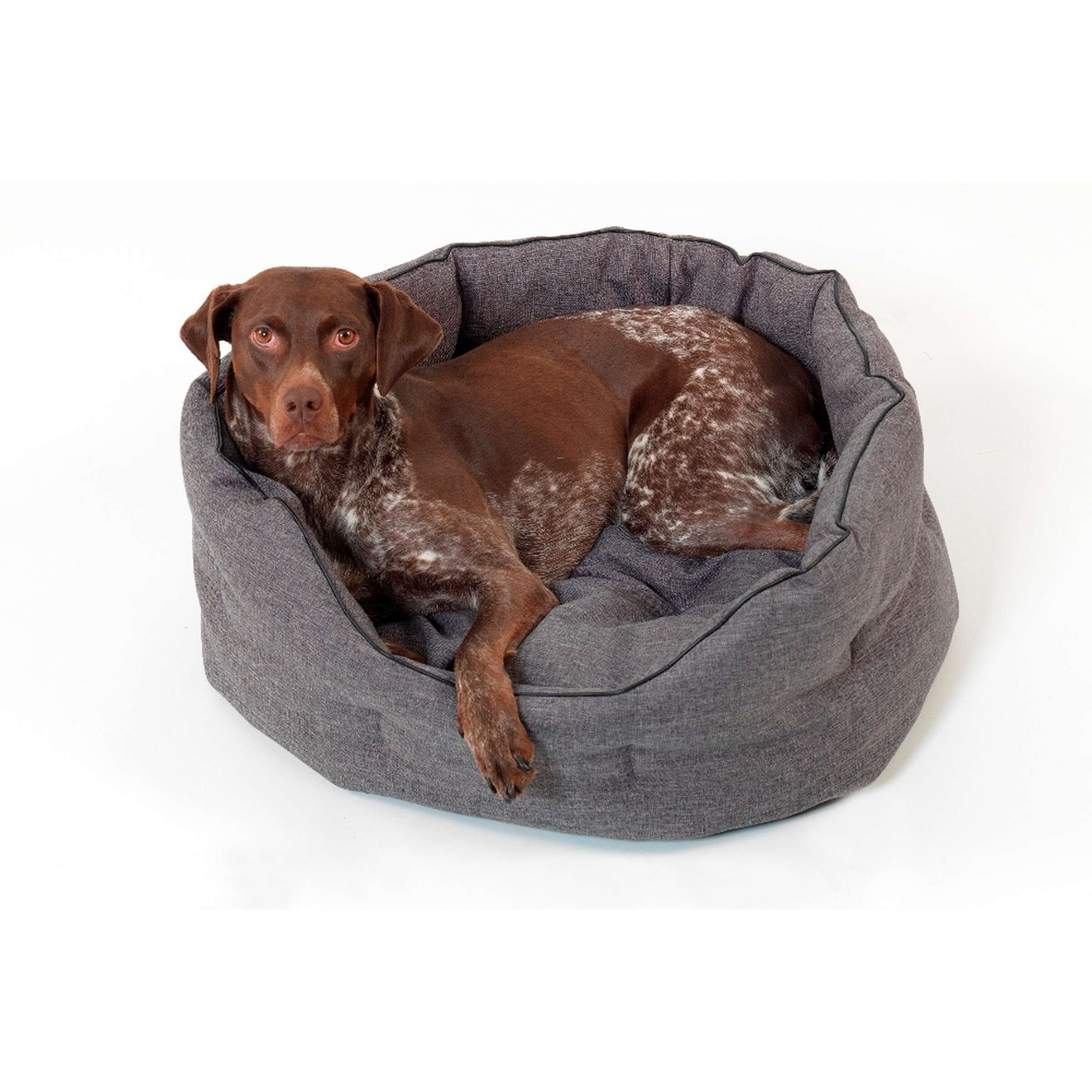 Dogs in the City I Hundekrbchen New York I anthrazit