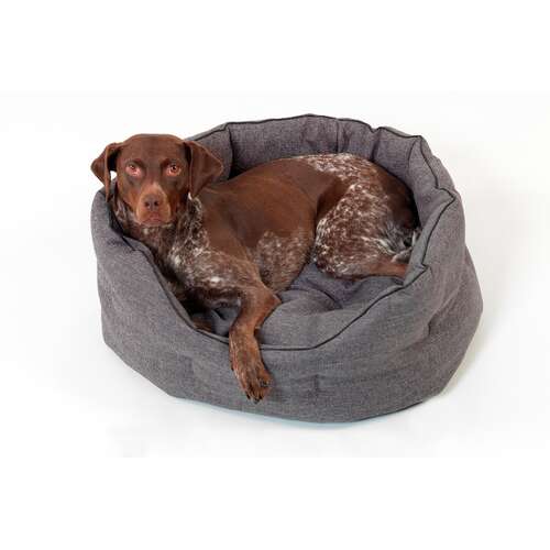 Dogs in the City I Hundekrbchen New York I anthrazit