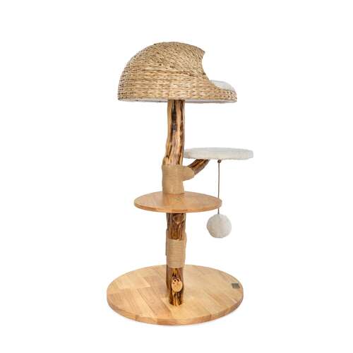 Bontoy Kratzbaum Stella aus Holz 109 cm | Natrlicher Katzenbaum, 129,90