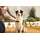 Bontoy Hunde Pflegeset I 6tlg.